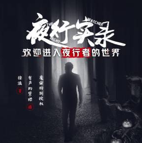 夜行实录有声小说