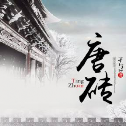 唐砖有声小说
