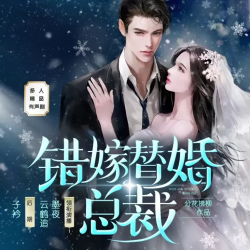错嫁替婚总裁有声小说