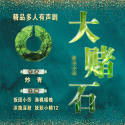 大赌石有声小说